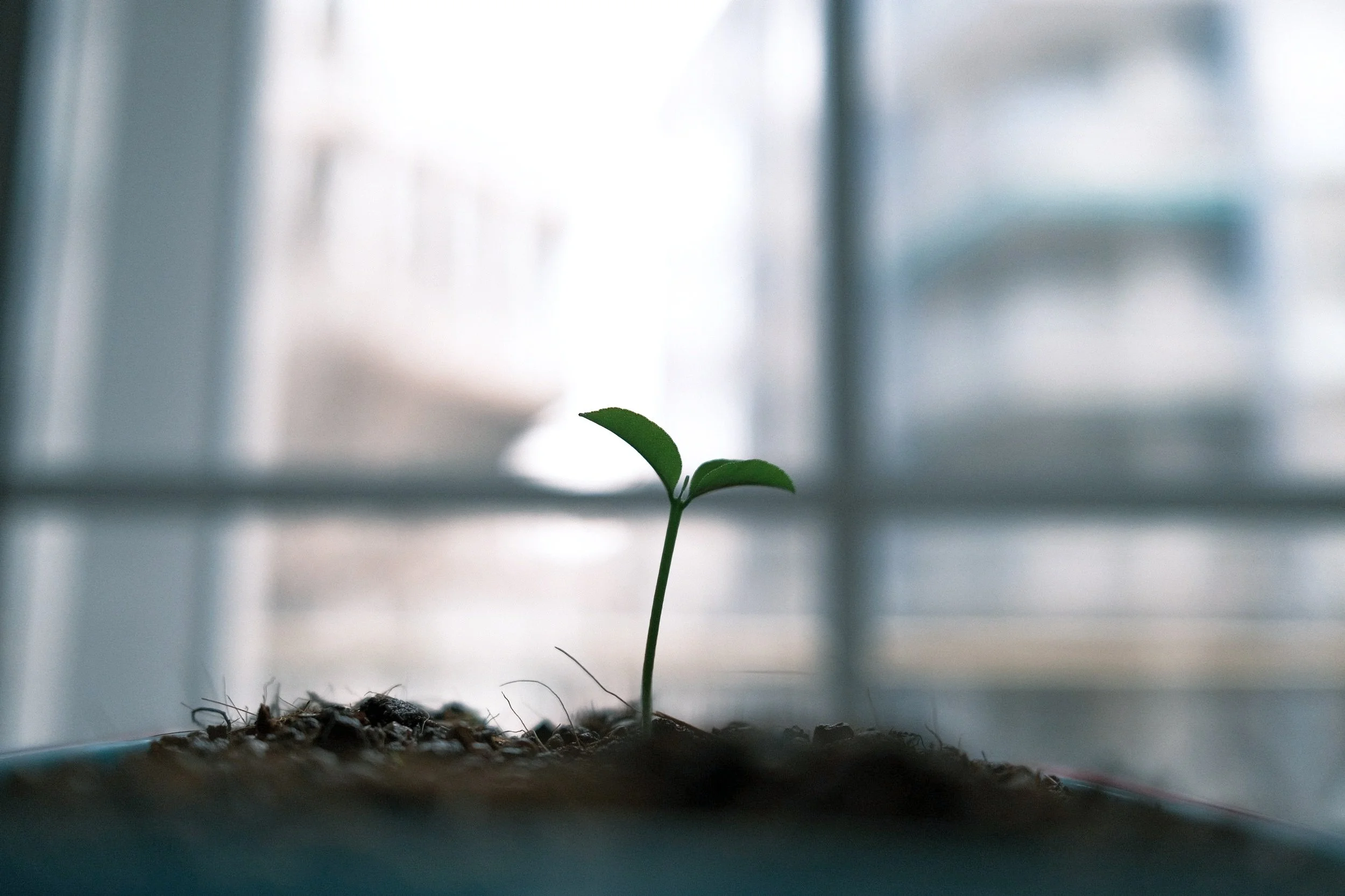 Embedded sourcing for Talent Vine