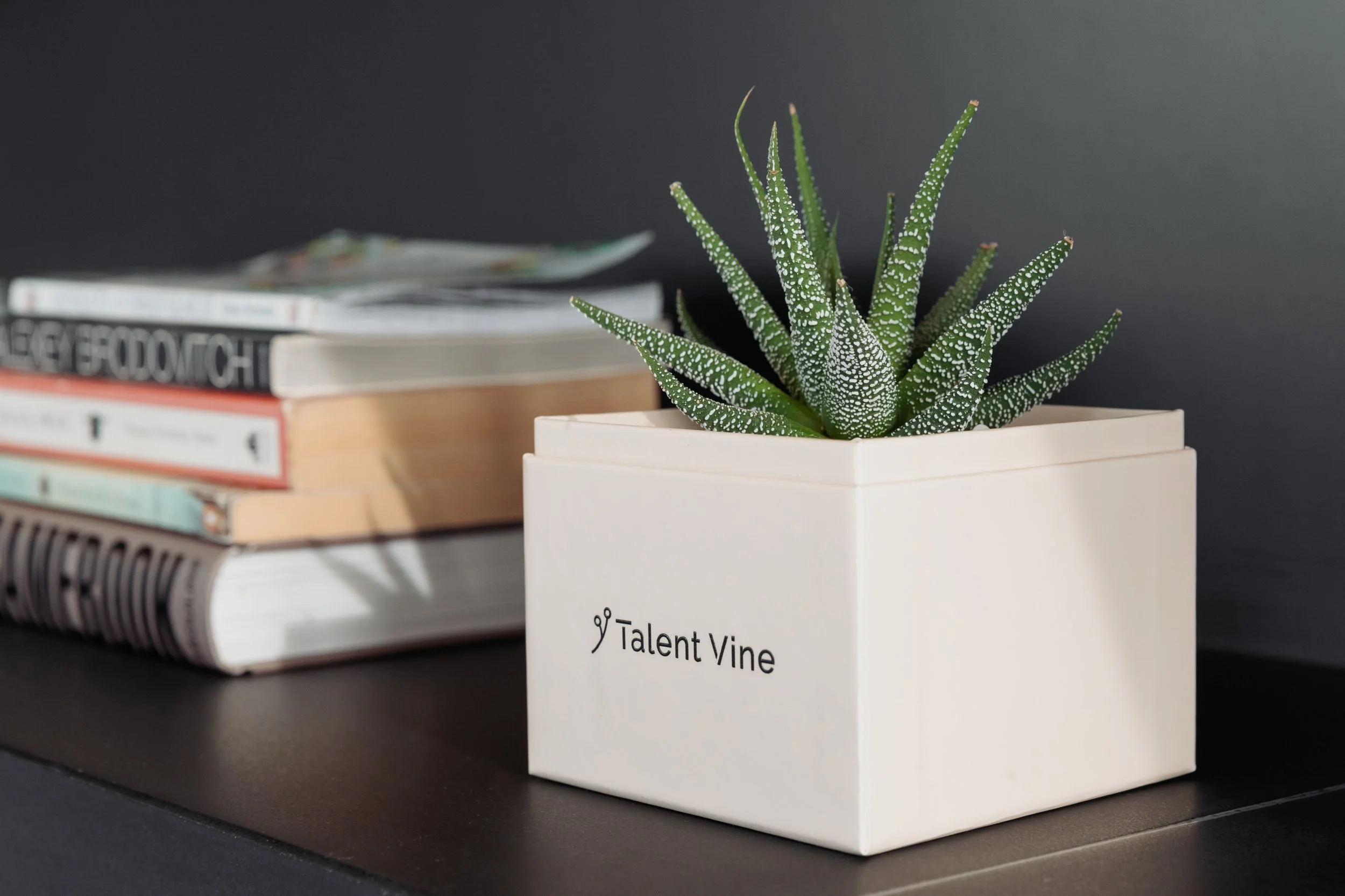 Talent Vine planter in the office